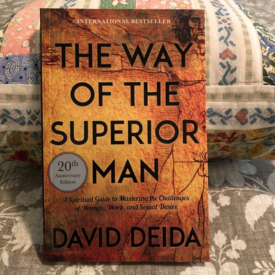The Way of the Superior Man: A Spiritual Guide to Mastering the Challenges of Women, Work, and Sexual Desire